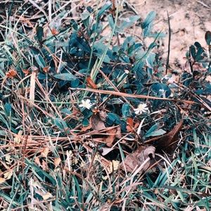 Meet your Posher, Leanna